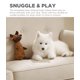 thumbnail image 5 of Juguete para perros Outward Hound Scruffles Moose Plush Squeaky Squeaky Squeaky, 5 of 9
