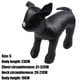thumbnail image 3 of Maniquíes de perro de cuero de pie, modelos de perros, juguetes, tienda de animales para mascotas, maniquí de exhibición, negro, talla S, 3 of 5
