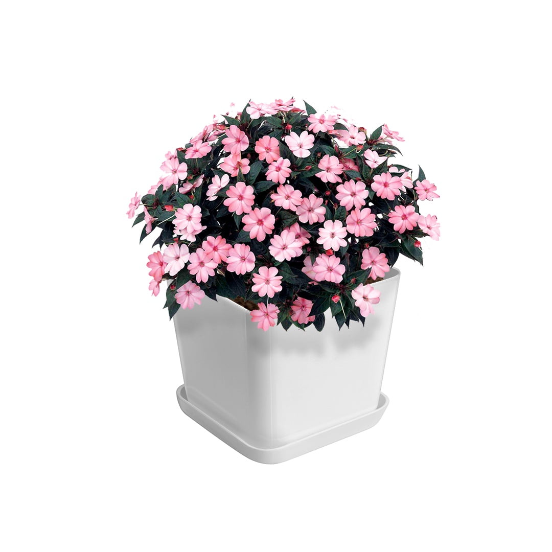 Growled - Pack Macetas Para Huerto Y Suculenta 4 Unid