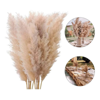 Genérico - Tallos Flores Secas 10 Uds Hierba Pampa 100 Cm
