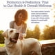 thumbnail image 2 of Polvo probiótico Rx Vitamins Rx Biotic para perros y gatos, 2 of 7