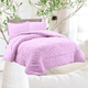 thumbnail image 1 of Cubrecama De Invierno Plush Con Chiporro 2p texturizado, 1 of 2