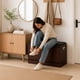 thumbnail image 3 of Mueble Zapatero con Cojín, 3 of 6