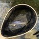 thumbnail image 3 of Red de Pesca DYTesa con Marco de Madera y Malla Suave de Goma, 3 of 7