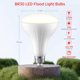 thumbnail image 5 of Bombilla LED Sengled 9W 650 lm 2700K CRI90 (paquete de 8), 5 of 7