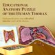 thumbnail image 4 of Anatomía Del Tórax Humano De Puzzle 411 Piezas, 4 of 8