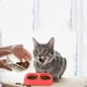 thumbnail image 5 of Cuenco de agua y comida para mascotas con plato doble, cuenco de agua y comida para gatos y perros, 5 of 5