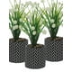 thumbnail image 1 of Plantita Artificial Deco Altura .28 Cm.., 1 of 2
