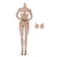 thumbnail image 2 of Figuras De Cuerpo Femenino Flexibles A Escala 1/6, Piel Normal De Juguete Para Busto Pequeño TTM18 TTM19, 2 of 3