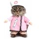 thumbnail image 1 of Disfraz de enfermera para mascotas color rosado talla M, 1 of 3