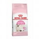 thumbnail image 1 of Royal Canin Alimento para Gatito Kitten 1.5 Kg, 1 of 5