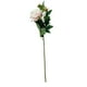 thumbnail image 1 of Peonia Con Boton Rosada Clara 84cm Con Acabado Natural, 1 of 3