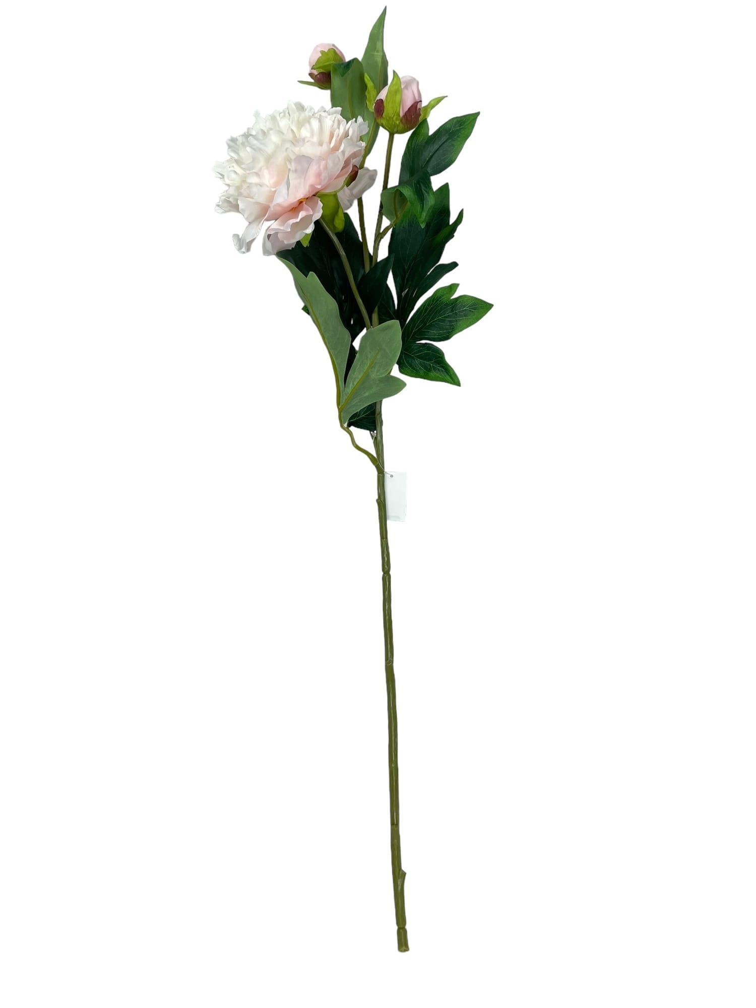 Corel - Peonia Con Boton Rosada Clara 84Cm Con Acabado Natural