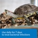 thumbnail image 2 of Tortuga Remedy API TURTLE FIX Nonbacilli, botella de 120 ml, 2 of 6