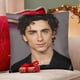 thumbnail image 4 of Timothée Chalamet Fundas de almohada de terciopelo con tema, regalos de funda de almohada, decoración para el hogar, cojín de lanzar, regalo de cumpleaños para fans y parejas.50*50cm., 4 of 6