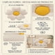 thumbnail image 3 of Pack De 4 Cojines En Forma De Flor Blanco, 3 of 4