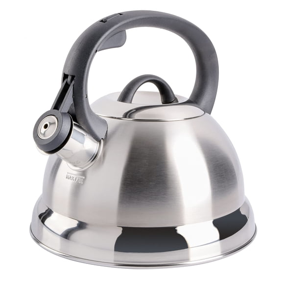Hervidor de té Mr. Coffee Flintshire de acero inoxidable 1,75 L