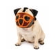 thumbnail image 1 of Bozal Perro Braquicéfalo S Pug Bulldog Francés 6-9kg, 1 of 9