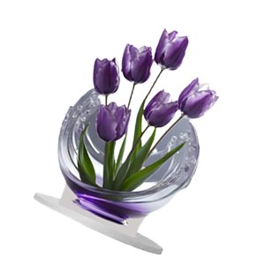 Bothyi - Decoración De Artesanía De Tulipanes Acrílicos 2D Para Sala De Estar De Chimenea De Estantería