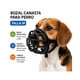 thumbnail image 3 of Bozal Canasta Perro M Negro Ajustable Razas Medianas, 3 of 7