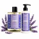 thumbnail image 1 of Set de Gel de Ducha y Loción Corporal Panier des Sens 500 ml + 250 ml Lavanda, 1 of 9