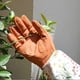 thumbnail image 3 of Guantes de jardinería para mujer, resistentes a las espinas y a las perforaciones, con protección extra larga para el antebrazo., 3 of 8