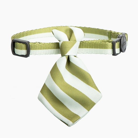 Pidan® Cuello Corbata Elegante Para Gato