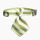thumbnail image 1 of Pidan® Cuello Corbata Elegante Para Gato, 1 of 3