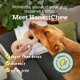 thumbnail image 3 of Juguete para Perro WOOF HonestChew Infinity Duradero de Origen Vegetal, 3 of 9