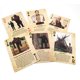 thumbnail image 2 of Naipes Paradise Cay Squatch METALWORKS Bigfoot, 2 of 6