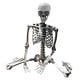 thumbnail image 3 of Esqueleto De Halloween Props Party Favors Yard Full Body Posable Joints Skeleton 70cm, 3 of 5