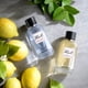 thumbnail image 5 of Perfume Karl Lagerfeld Paris 21 Rue Saint-Guillaume Eau de Parfum, 100 ml, 5 of 5