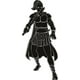 thumbnail image 1 of Decomural Roman Soldier WS-18917, 1 of 2
