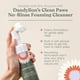 thumbnail image 4 of Limpiador de patas Dandylion Clean Paws No-Rinse para perros, 150 ml, 4 of 7