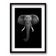 thumbnail image 1 of Cuadro Elephant B/N 70x50cms, 1 of 1
