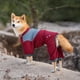 thumbnail image 4 of Suéter para perro Pet Life 'Tail Runner' ligero y ventilado, 4 of 9