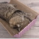 thumbnail image 3 of Chaise Cat SmartyKat Super Scratcher, color marrón, 3 of 8