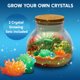 thumbnail image 3 of Kit de manualidades Klever Kits para crear tu propio terrario de cristal de dinosaurio con luz nocturna LED para niños, 3 of 7