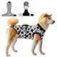 thumbnail image 1 of Traje De Recuperación Postoperatoria Para Perros Enterizo Anti Lamido, 1 of 6