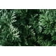 thumbnail image 3 of Hierba Ajenjo 50g - Aromatizante para Licores y Vinos, 3 of 9