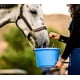 thumbnail image 3 of Horse Quenchers Suplemento Hidratante para Caballos, Refrescante para Caballos, Granos 100% Naturales para Jinete y Dueños, Ayuda a Prevenir Problemas de Salud - Sabor Menta, Bolsa de 1.6 kg, 3 of 3