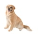 thumbnail image 3 of Figura De Perro Realista, Excelente Mano De Obra, Recuerdo, Figura De Animal Coleccionable, Marrón Claro, 3 of 3