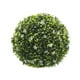 thumbnail image 1 of Planta Topiaria 28 cm, 1 of 2