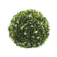 Signet - Planta Topiaria 28 Cm