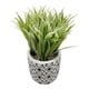 thumbnail image 2 of Planta Artificial Macetero Cerámica Vintage Plantita Verde, 2 of 4