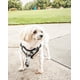thumbnail image 2 of Arnés para perro y moño Pet Life ® 'Bonatied' de malla, 2 of 8