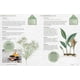 thumbnail image 3 of Cultivar Plantas Aromáticas, 3 of 6