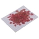 thumbnail image 1 of 6 pedazos de flores de zanahoria secada reales naturales presionadas de la flor para el arte rosado, 1 of 3