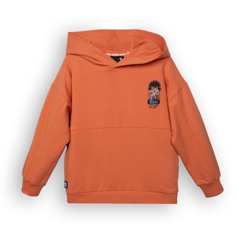 Polerón Niño Naranjo Pillin