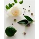 thumbnail image 5 of Perfume Maison Louis Marie Antidris Cassis, Eau de Parfum, 9 ml, 5 of 5
